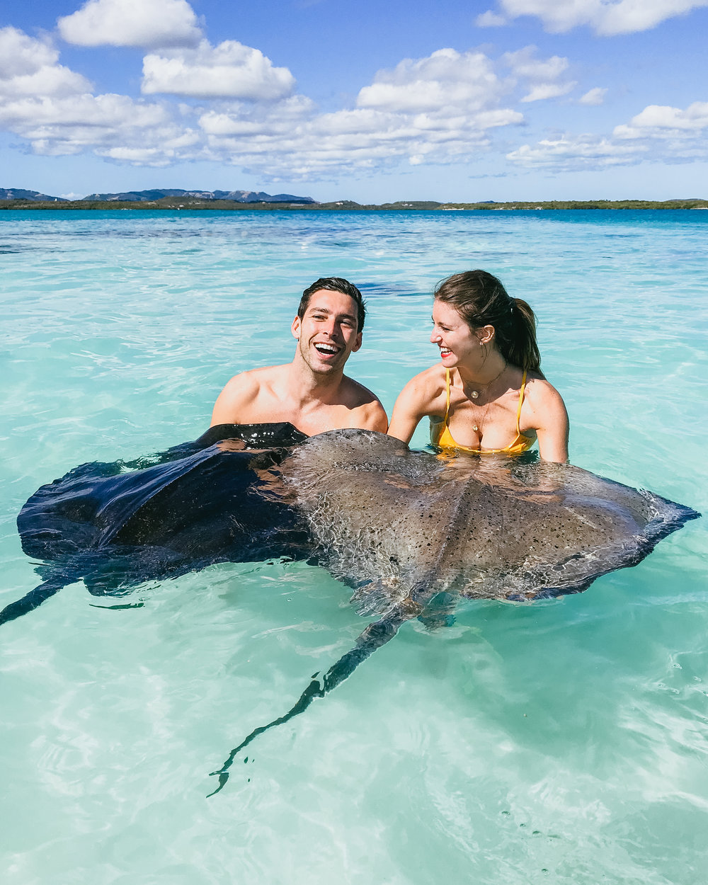 what to do in antigua caribbean stringray city
