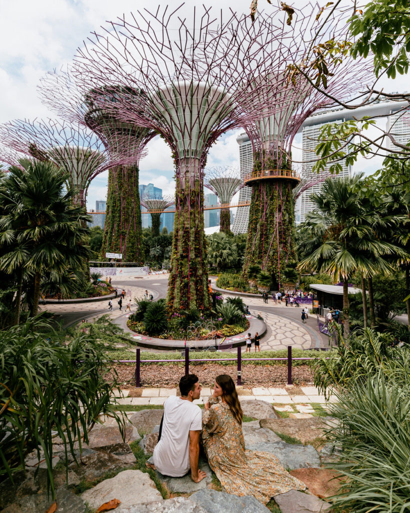 Capturing Perfection: Singapore's Top 10 Instagram-Worthy Spots - Singapore Botanic Gardens