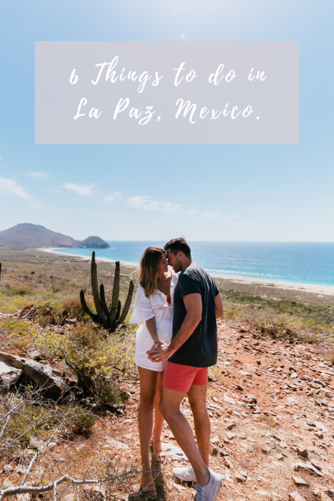 6 Things to do in La Paz Mexico