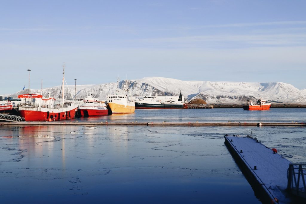 arctic scenery in reykjavik