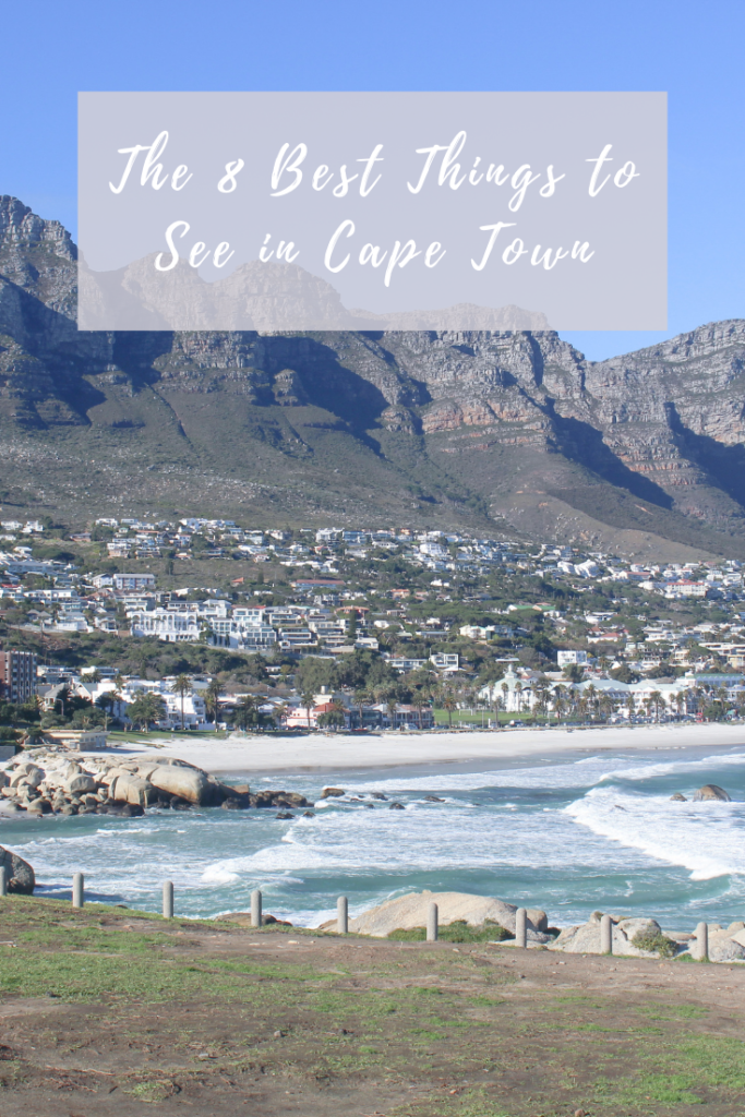 The 8 Best Things to See in Cape Town