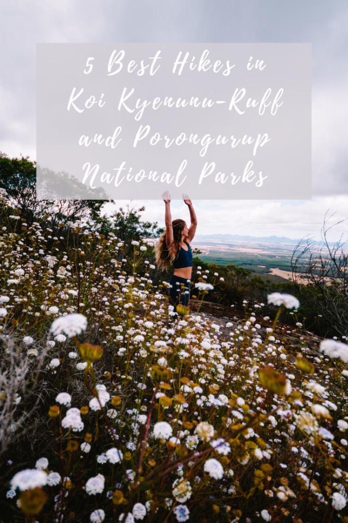 5 Best Hikes in Koi Kyenunu-ruff (Stirling Ranges National Park) and Porongurup National Park