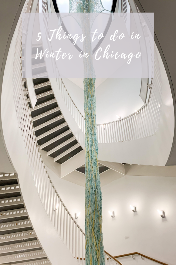5 things to do in winter in chicago pin