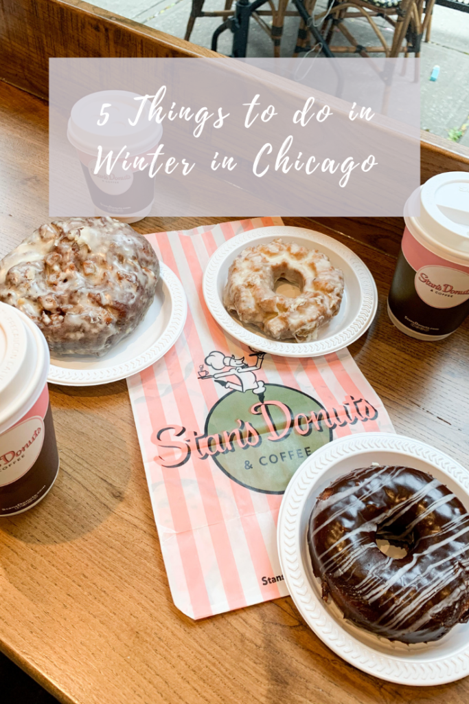5 things to do in winter in chicago pin