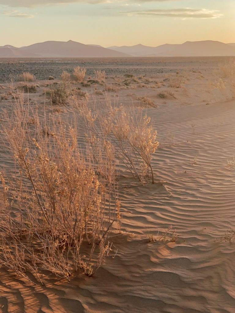desert sand namibia