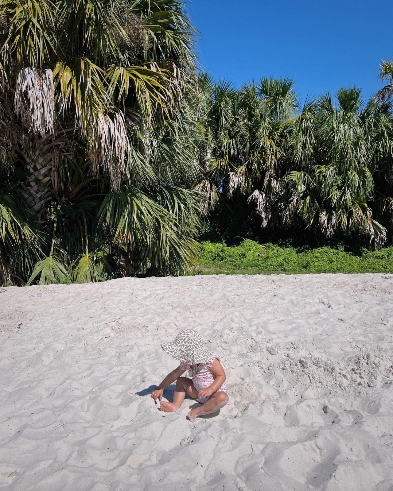 Crystal River Florida Craigslist 00 - vcxfe2y